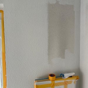 WhatsApp Image 2026-01-29 at 15.19.56